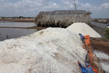 Kiến nghị Trung ương mua tạm trữ 92.000 tấn muối