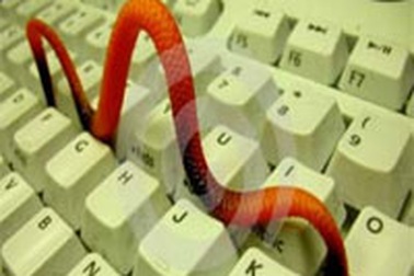 Spam phát tán trên máy tính nhiễm virus Bagle