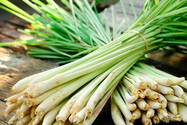 Mẹo tiêu diệt ruồi không cần hóa chất