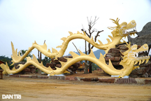 Kiểm tra dự án xây dựng của doanh nghiệp có 4 tượng rồng giống giun