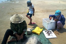 Tấp nập vớt cá chết bán cho thương lái với "giá cao"