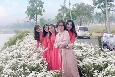 Thung lũng hoa Phủ Quỳ, điểm "check in" tuyệt đẹp giữa núi đồi xứ Nghệ