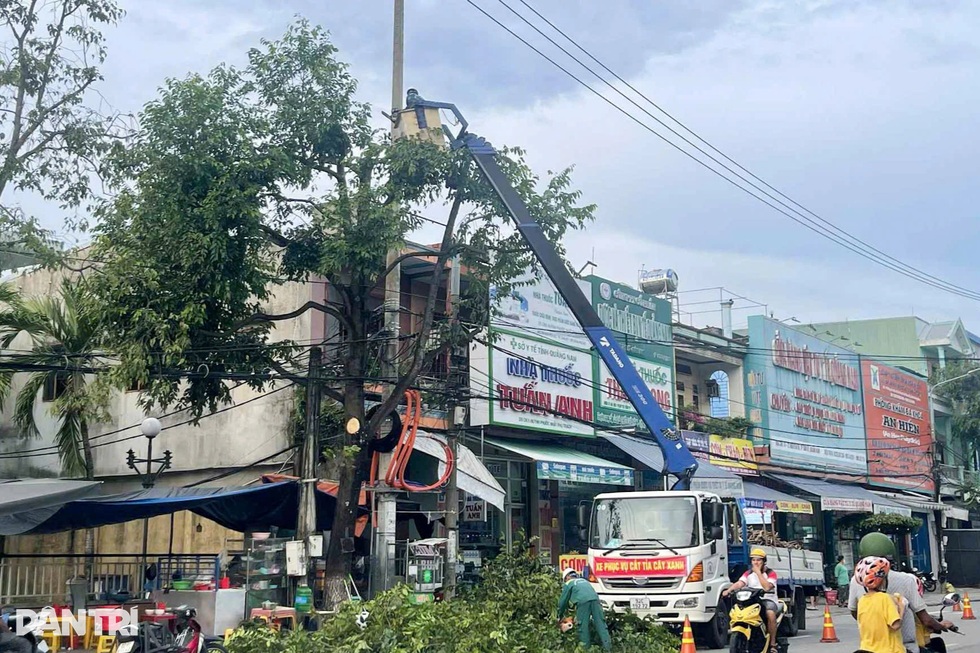 Miền Trung ứng phó bão Bualoi, sẵn sàng di dời hàng chục nghìn người - 8 Miền Trung ứng phó bão Bualoi, sẵn sàng di dời hàng chục nghìn người - 8