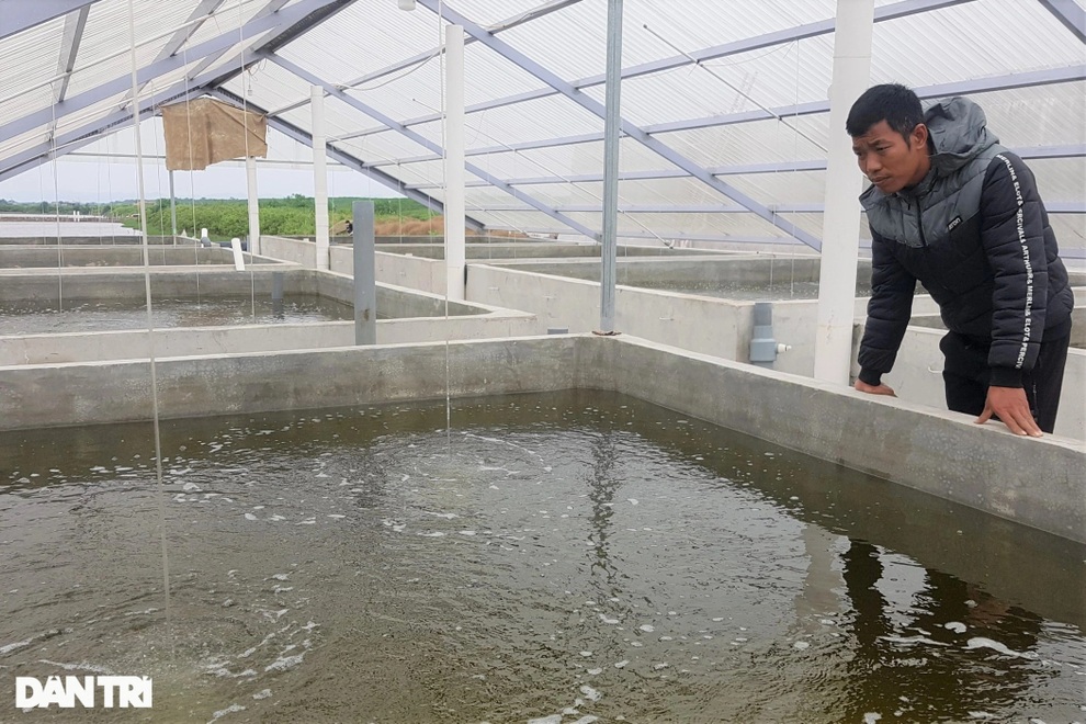 Chàng trai 8X nuôi con nhỏ li ti, thu tiền tỷ mỗi năm - 4 Chàng trai 8X nuôi con nhỏ li ti, thu tiền tỷ mỗi năm - 4