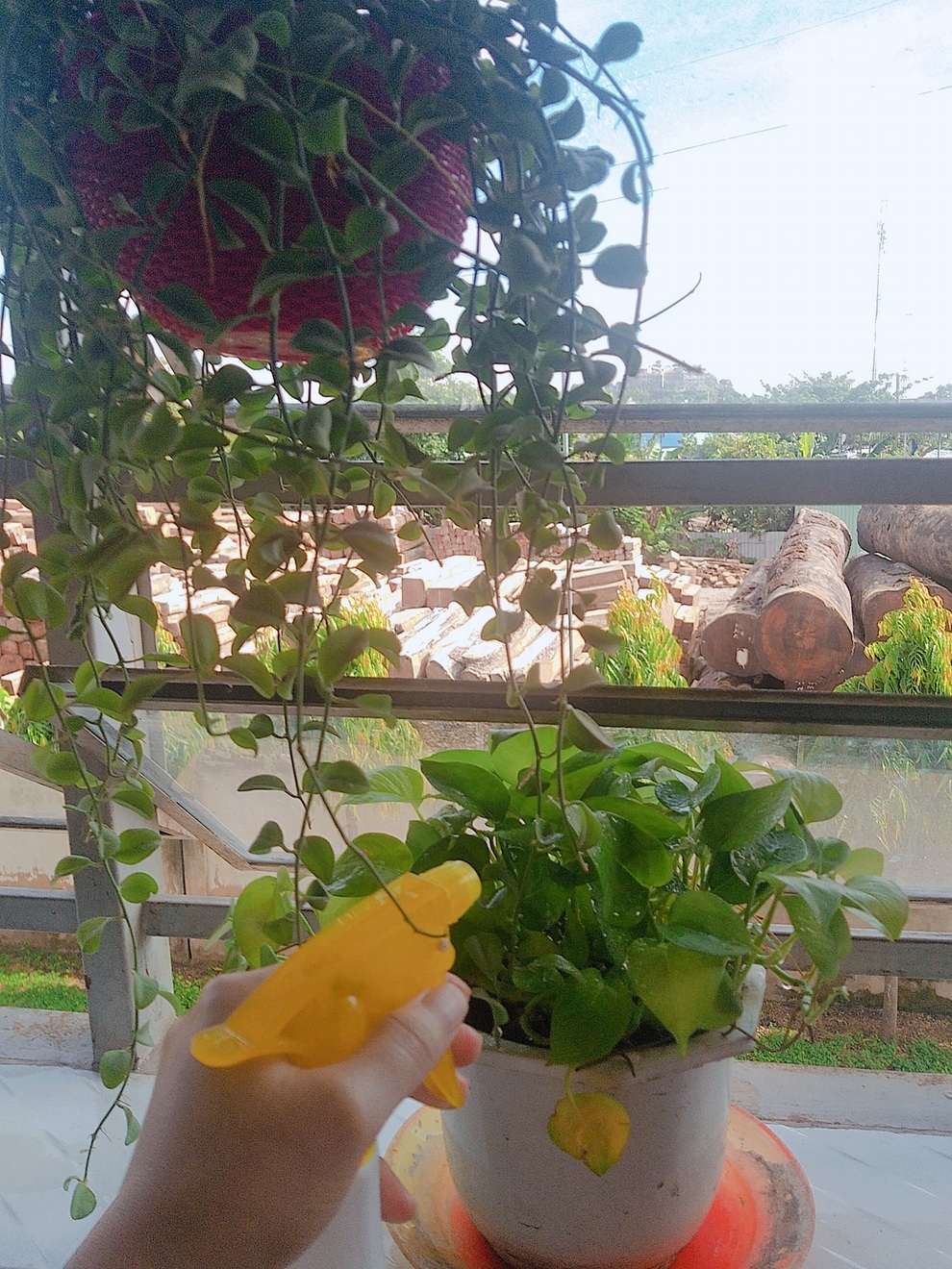 Hành trình đi cách ly ý nghĩa và tâm thế lạc quan của một nữ F0 - 4 Hành trình đi cách ly ý nghĩa và tâm thế lạc quan của một nữ F0 - 4