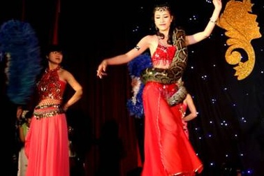 Nữ sinh trường Báo múa bụng quyến rũ…cùng trăn