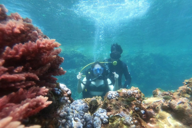 Từ làng chài nghèo "say ngủ" đến thiên đường biển đảo