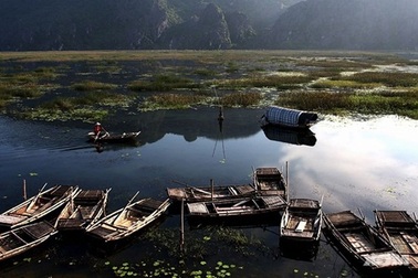 Một ngày rong ruổi nơi phim trường “Kong: Skull Island” trên đất cố đô