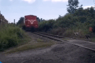 Nổi bật tuần qua: Thót tim khoảnh khắc bé gái lao xe qua trước mũi tàu