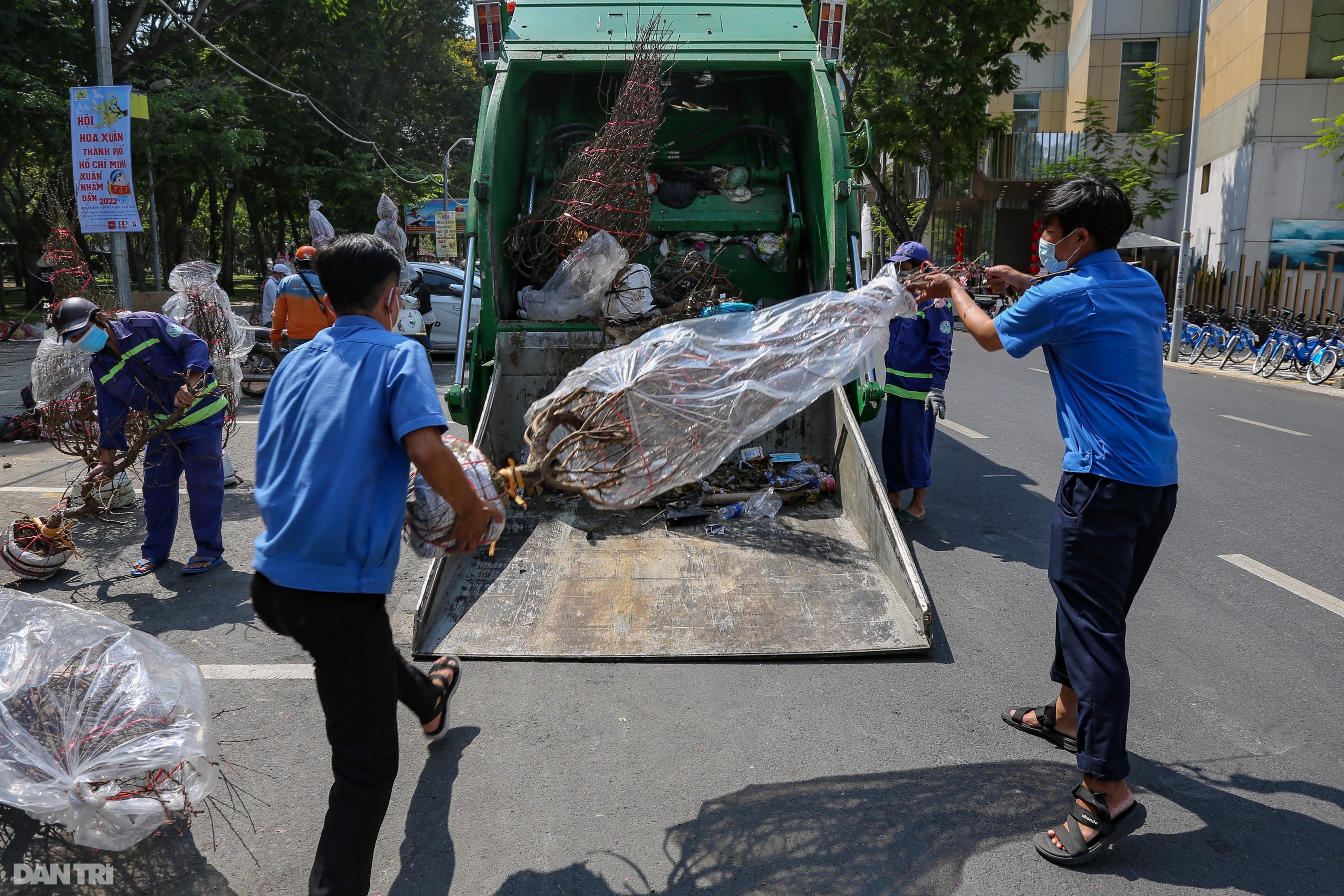 Thương lái đẫm nước mắt nhìn cảnh hàng nghìn chậu hoa Tết chuyển lên xe rác - 8 Thương lái đẫm nước mắt nhìn cảnh hàng nghìn chậu hoa Tết chuyển lên xe rác - 8