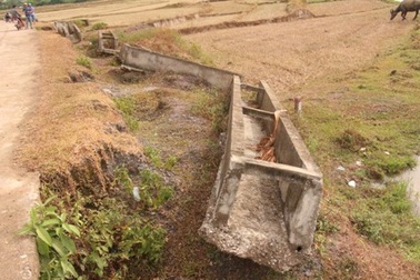 Hơn 4 tỷ đồng “vứt không” giữa đồng