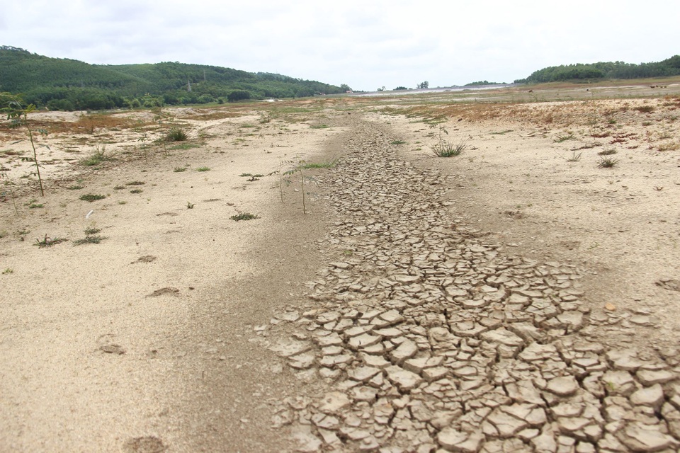 Cận cảnh hồ nước ngọt lớn nhất Quảng Ninh cạn trơ đáy, bò đi lại giữa hồ - 3 Cận cảnh hồ nước ngọt lớn nhất Quảng Ninh cạn trơ đáy, bò đi lại giữa hồ - 3