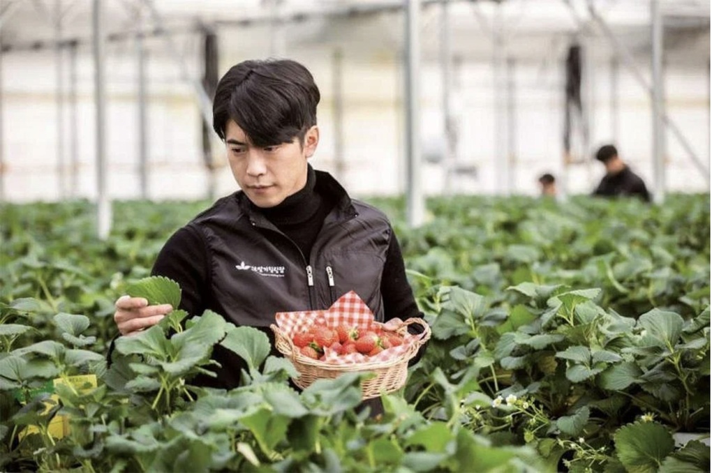 Chàng trai bỏ giấc mơ phi công để làm nông dân thông minh - 2 Chàng trai bỏ giấc mơ phi công để làm nông dân thông minh - 2