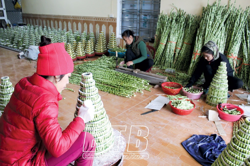 Tình cờ trồng phát lộc hóa ra lại phát tài, cả làng được khen tài, lộc - 3 Tình cờ trồng phát lộc hóa ra lại phát tài, cả làng được khen tài, lộc - 3