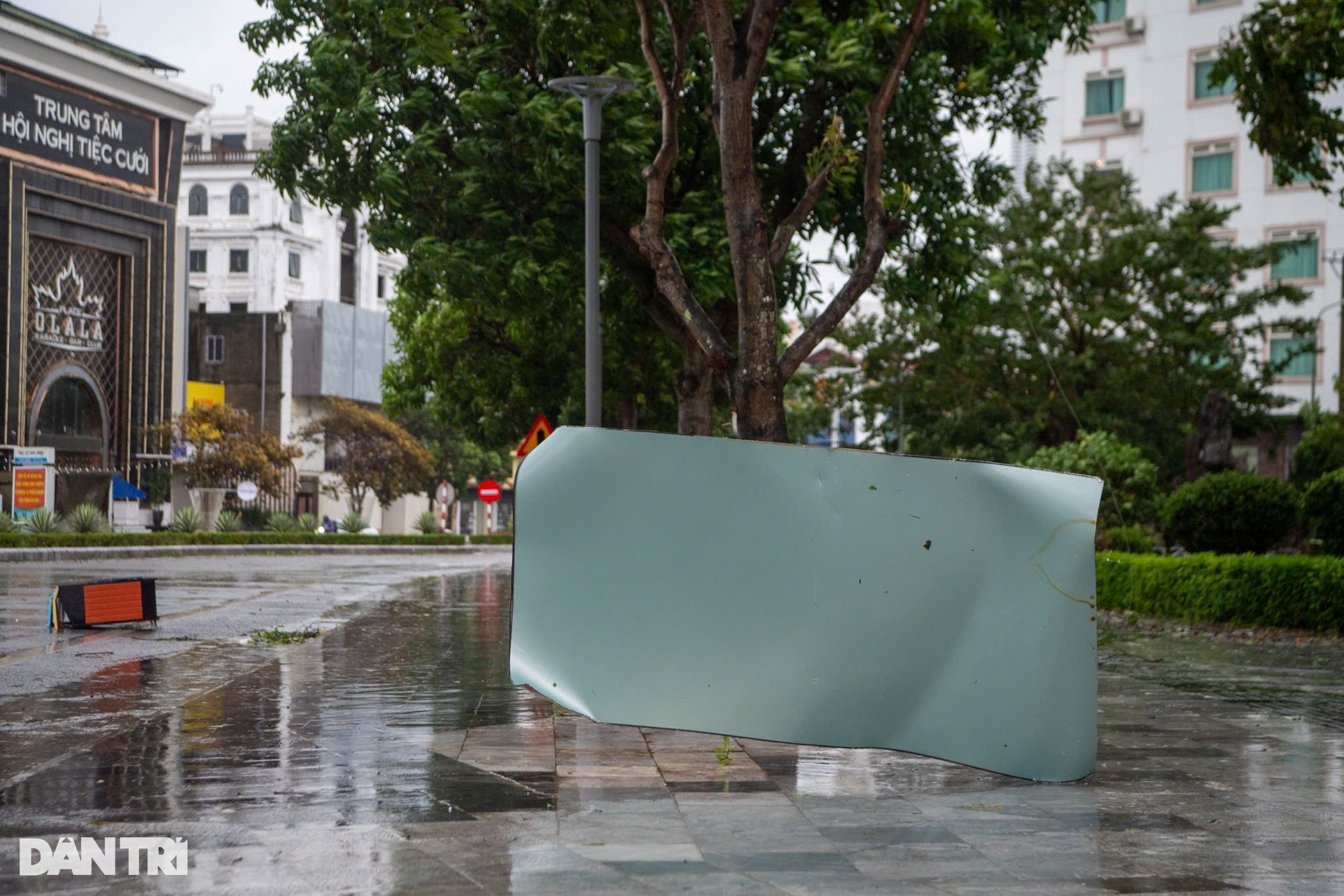 Trước giờ bão Yagi đổ bộ Quảng Ninh: Cây xanh gẫy đổ, tôn bay la liệt - 5 Trước giờ bão Yagi đổ bộ Quảng Ninh: Cây xanh gẫy đổ, tôn bay la liệt - 5
