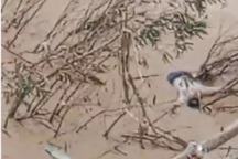 Phát hiện thi thể người đàn ông trôi trên sông Nậm Mộ