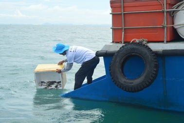 Thả hơn 4 triệu con ghẹ giống xuống biển Phú Quốc