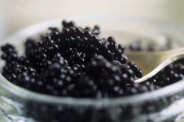 Những đặc sản chữa "bệnh tình yêu" đắt hơn vàng ở Việt Nam