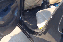 Cụ bà "đứng tim" thấy rắn hổ mang trườn dưới chân khi ngồi trong ô tô