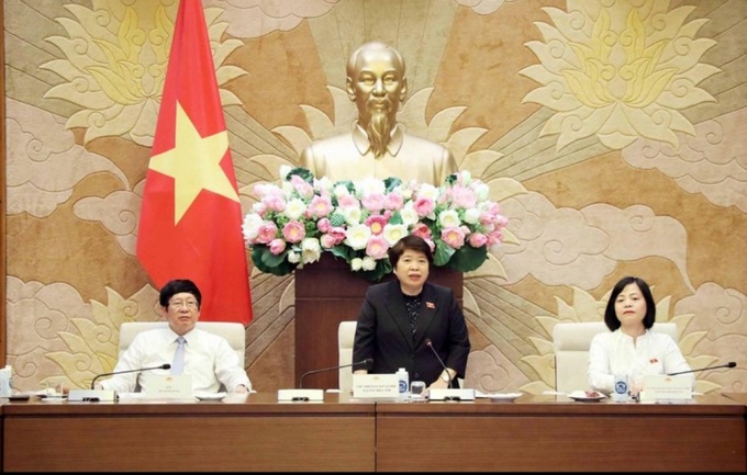 Chủ nhiệm Ủy ban Xã hội Nguyễn Thúy Anh phát biểu tại buổi gặp mặt.