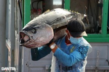 VASEP: Cá ngừ Việt Nam đang dần mất lợi thế tại Mỹ