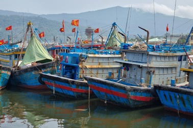 Xăng dầu tăng "phi mã", ngư dân Đà Nẵng gác thuyền nằm bờ