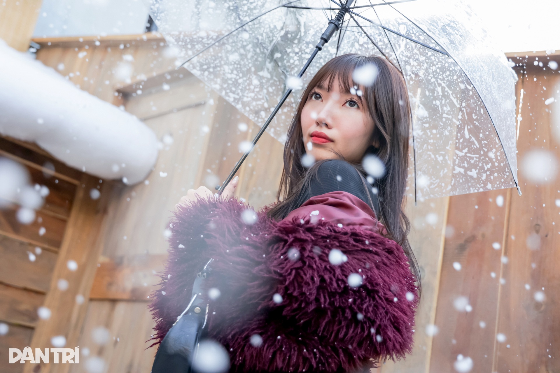 Thiếu nữ Hà Nội lên đồ xinh lung linh cho mùa Giáng sinh - 5 Thiếu nữ Hà Nội lên đồ xinh lung linh cho mùa Giáng sinh - 5