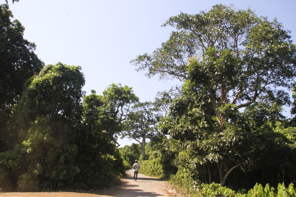 Sau đại dịch Covid-19, kích cầu khách nội địa, phát triển du lịch biển đảo - 3 Sau đại dịch Covid-19, kích cầu khách nội địa, phát triển du lịch biển đảo - 3