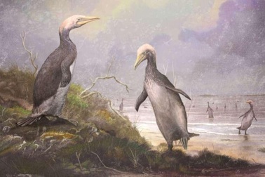 Phát hiện hóa thạch loài chim khổng lồ mới ở Bắc bán cầu