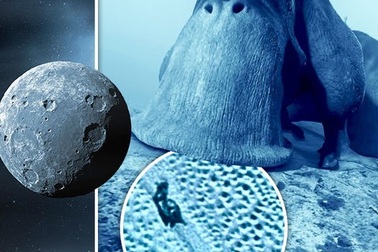 Phát hiện “Ốc sên vũ trụ” trong các bức ảnh chụp bề mặt sao Diêm Vương