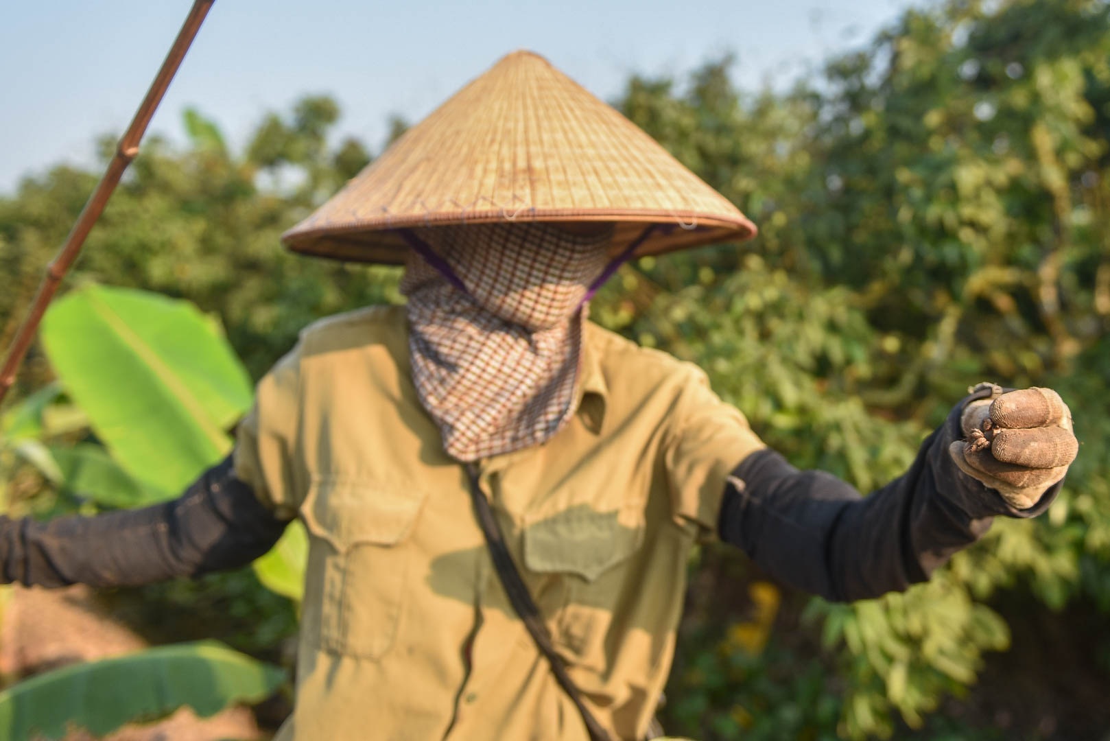 Câu con lộc trời cho: nông dân Hải Dương kiếm nửa triệu đồng mỗi ngày - 3 Câu con lộc trời cho: nông dân Hải Dương kiếm nửa triệu đồng mỗi ngày - 3