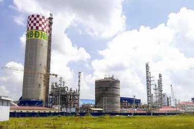 Sẽ thanh tra Nhà máy đạm Ninh Bình trong tháng 6