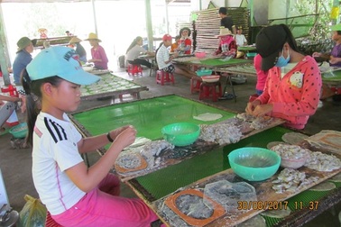 Trước ngày khai trường: Hơn 50 học trò nghèo bóc cá bò để kiếm tiền mua sách vở