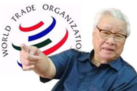 Gia nhập WTO: Việt Nam đã bỏ lỡ một nước cờ