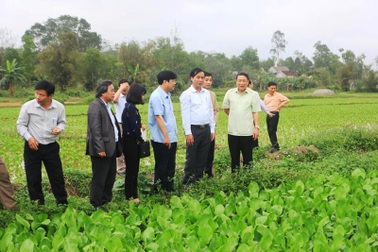 Nông dân Quảng Trị phấn khởi ra đồng sản xuất đầu năm mới