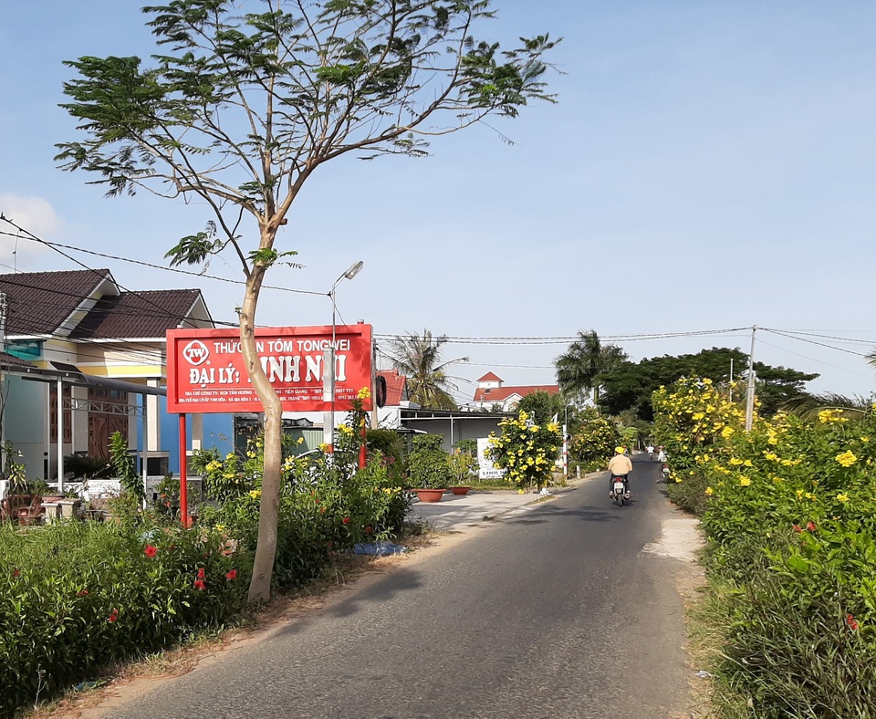 Ấn tượng những con đường hoa nông thôn mới kiểu mẫu ở Sóc Trăng - 5 Ấn tượng những con đường hoa nông thôn mới kiểu mẫu ở Sóc Trăng - 5