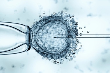 8 em bé chào đời bằng kỹ thuật IVF mang gen của 3 cha mẹ