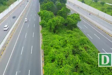 Cỏ dại um tùm suốt 24 km Đại lộ Thăng Long