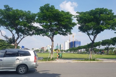 Thua kiện doanh nghiệp, UBND TP Đà Nẵng kháng cáo