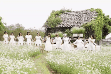 Cánh đồng cúc họa mi đầu mùa ở Hà Nội hút khách tới chụp ảnh