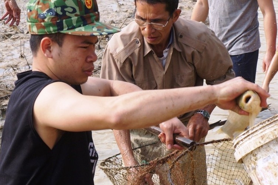 Giáp Tết, bội thu nhờ nuôi cá vụ 3 thay trồng lúa - 7 Giáp Tết, bội thu nhờ nuôi cá vụ 3 thay trồng lúa - 7