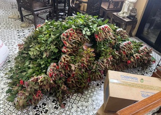 Người phụ nữ ở Hà Nội mua 5.000 bông hồng nhuộm đỏ sân thượng 200m2 - 2