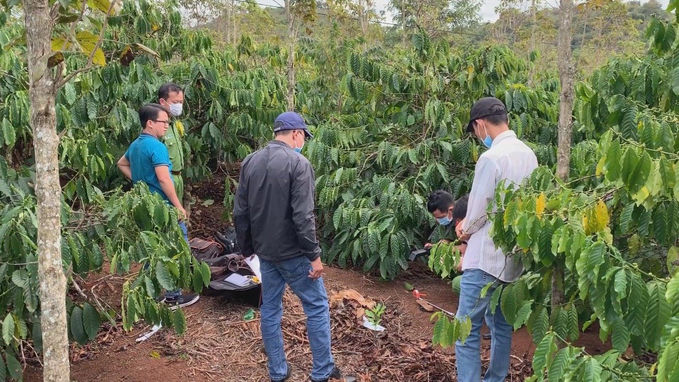 Người phụ nữ bị giết tại rẫy cà phê: Do mâu thuẫn tình - tiền? - 2 Người phụ nữ bị giết tại rẫy cà phê: Do mâu thuẫn tình - tiền? - 2