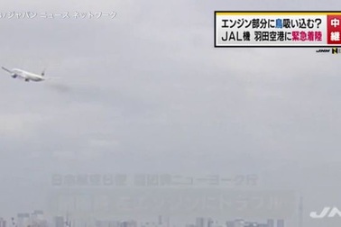 Máy bay Nhật Bản hạ cánh khẩn cấp vì nghi chim bay vào động cơ