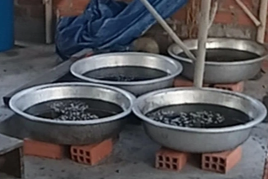 Người dân ngất xỉu vì mùi hôi thối từ cơ sở nấu mỡ bò