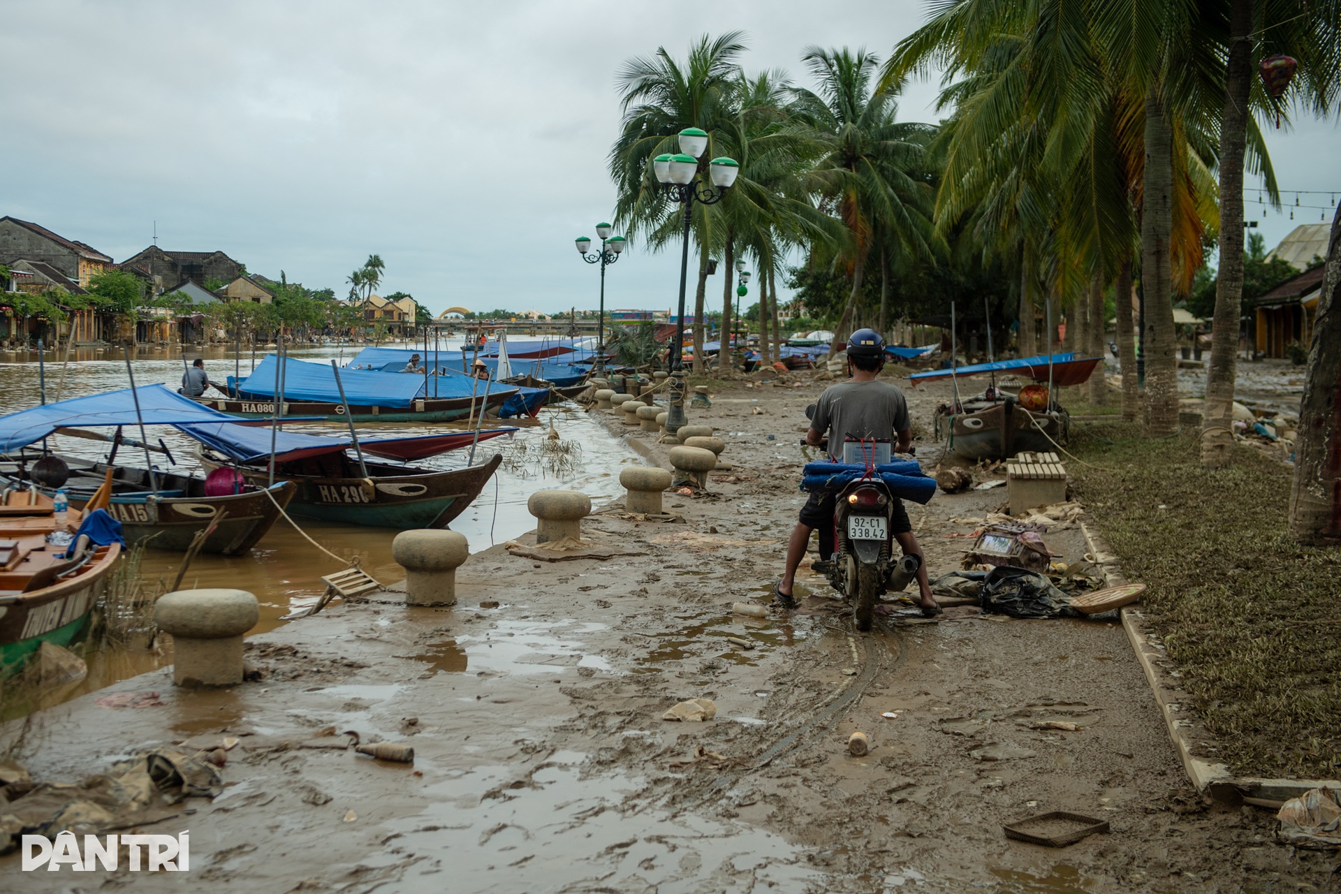 Hội An vẫn phủ kín bùn đất sau lũ, bộ đội căng mình dọn sạch - 9 Hội An vẫn phủ kín bùn đất sau lũ, bộ đội căng mình dọn sạch - 9