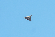Ukraine bắn rơi 84 UAV, tên lửa Nga nã vào cơ sở năng lượng