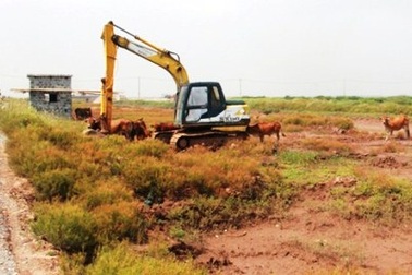 Nuôi ngao, phá... vườn quốc gia ở Nam Định