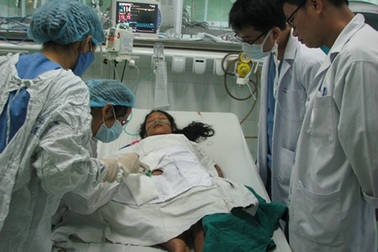 Đi cắt cỏ, bị ong vò vẽ đốt hơn 100 mũi 