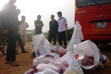 Phát hiện hơn 6 tạ thịt, nội tạng động vật được chở chung với hành khách